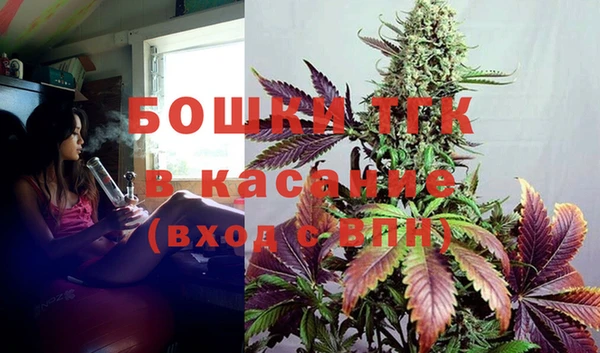 ГАЛЛЮЦИНОГЕННЫЕ ГРИБЫ Горняк