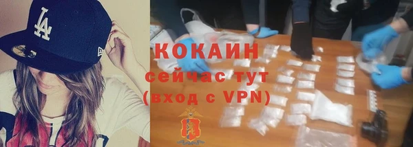 дживик Горнозаводск