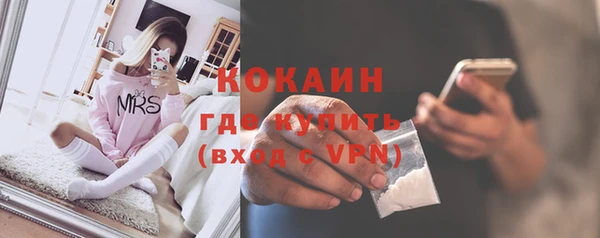 ГАЛЛЮЦИНОГЕННЫЕ ГРИБЫ Горняк