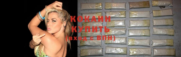 ГАЛЛЮЦИНОГЕННЫЕ ГРИБЫ Горняк