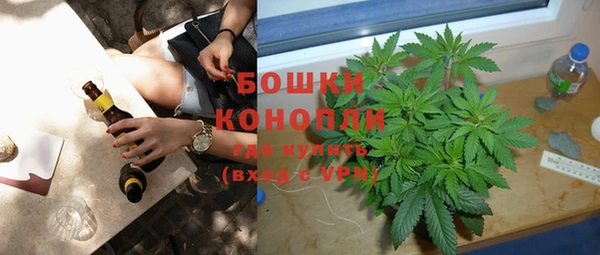 дживик Горнозаводск