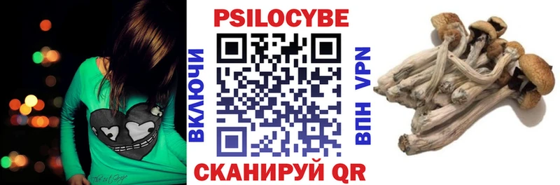 купить   Дятьково  Галлюциногенные грибы Magic Shrooms 