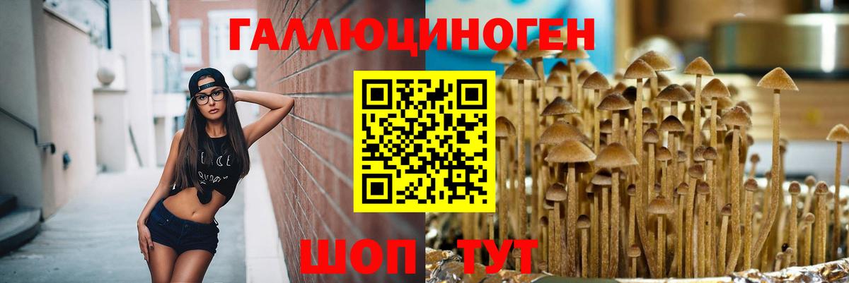 Дятьково  Галлюциногенные грибы Magic Shrooms  Вход с VPN 